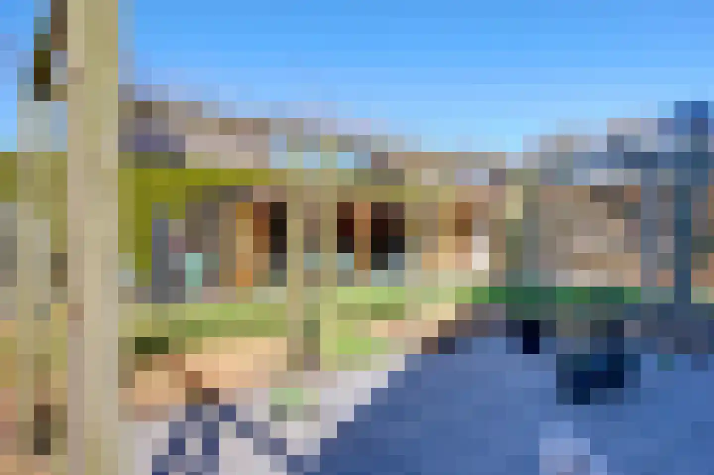 Bonnemalaan 9 Leek thumbnail 32