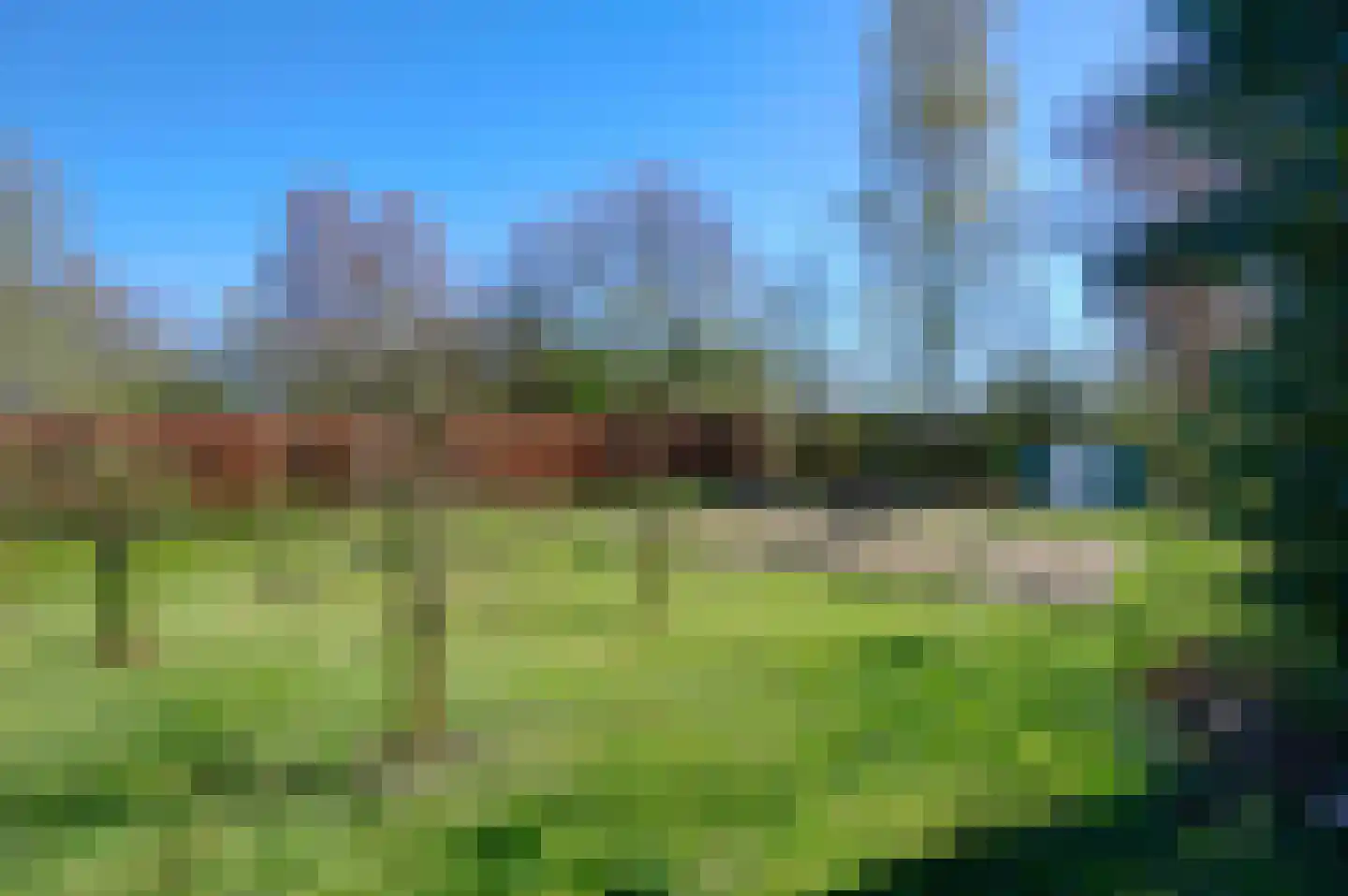 Bonnemalaan 9 Leek thumbnail 34
