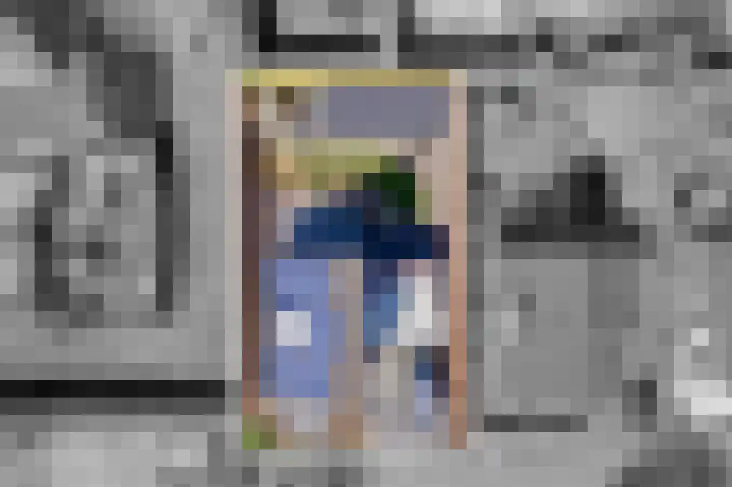 Bonnemalaan 9 Leek thumbnail 35