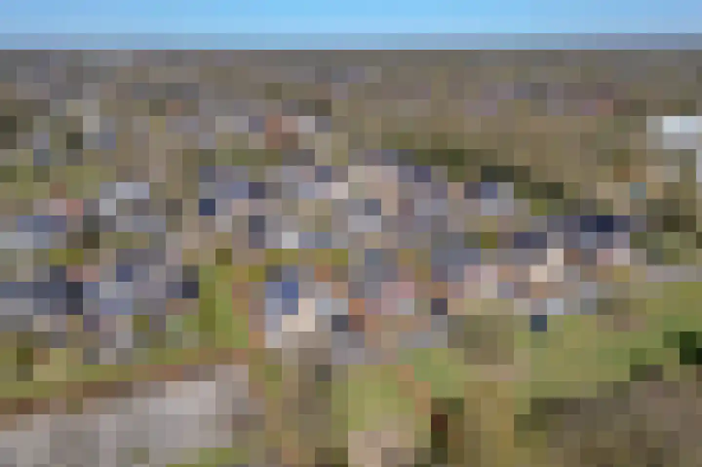 Bonnemalaan 9 Leek thumbnail 36