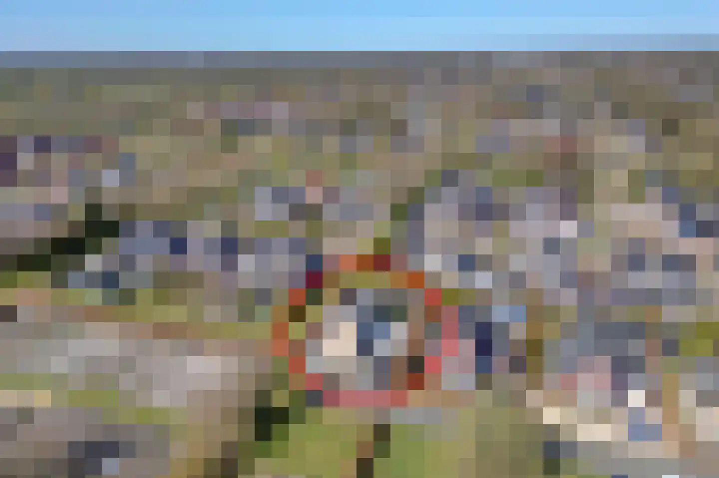 Bonnemalaan 9 Leek thumbnail 4