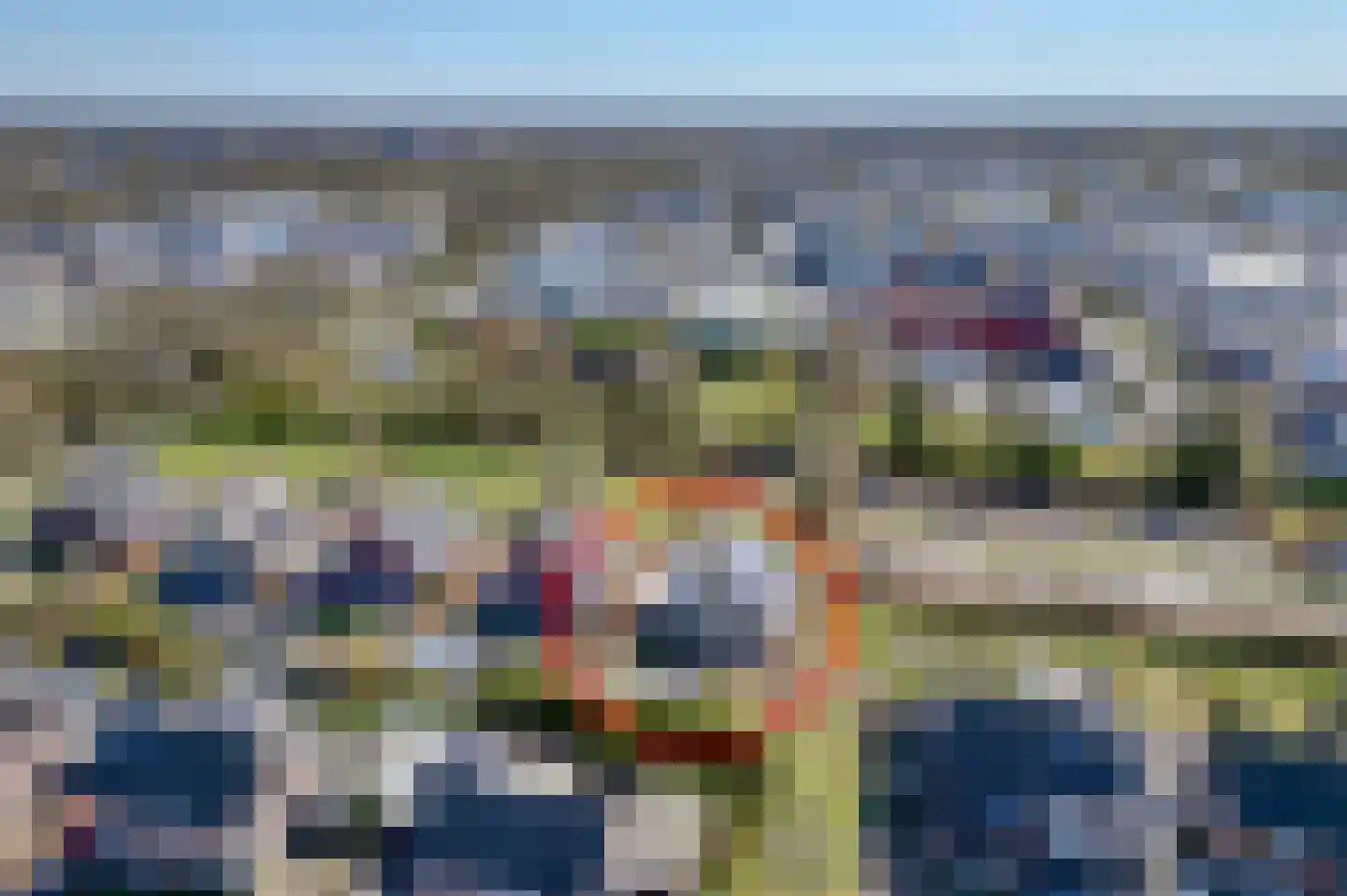 Bonnemalaan 9 Leek thumbnail 5