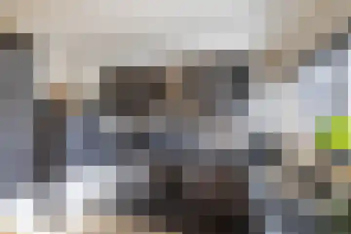 Bonnen 12 d Gieten thumbnail 17