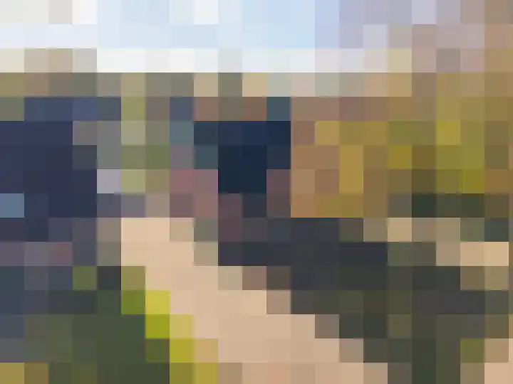 Bonnen 12 d Gieten thumbnail 22