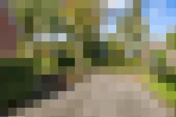 Bonnen 12 d Gieten thumbnail 24