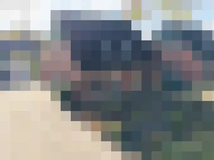 Bonnen 12 d Gieten thumbnail 25