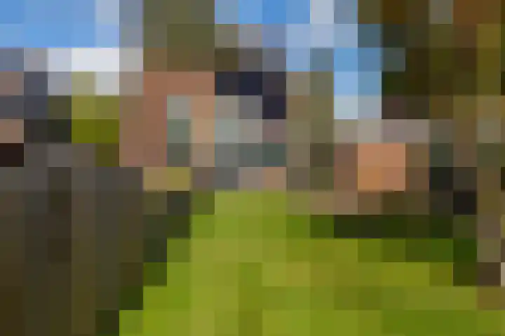 Bonnen 12 d Gieten thumbnail 38