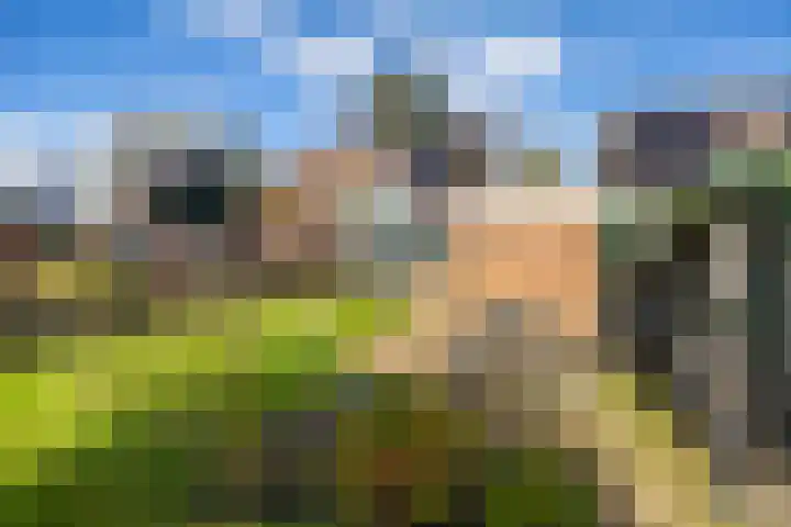Bonnen 12 d Gieten thumbnail 39