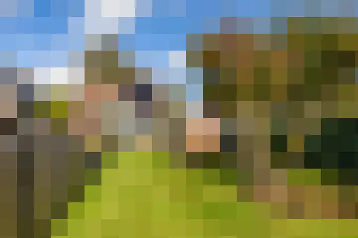 Bonnen 12 d Gieten thumbnail 40