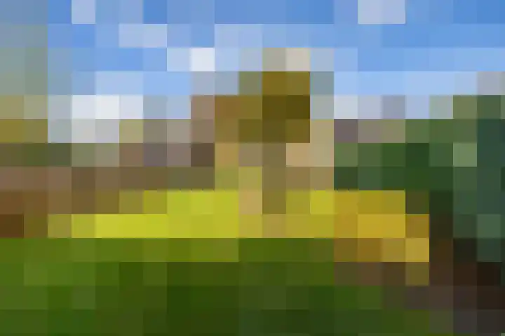 Bonnen 12 d Gieten thumbnail 41