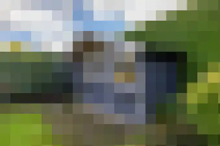 Bonnen 12 d Gieten thumbnail 42