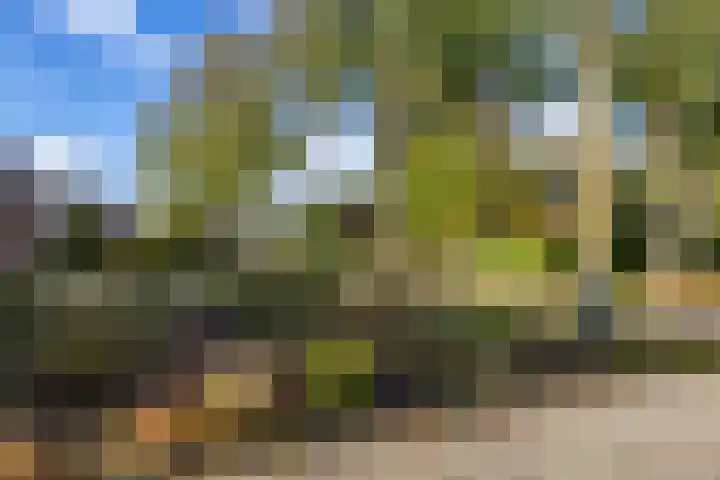 Bonnen 12 d Gieten thumbnail 43