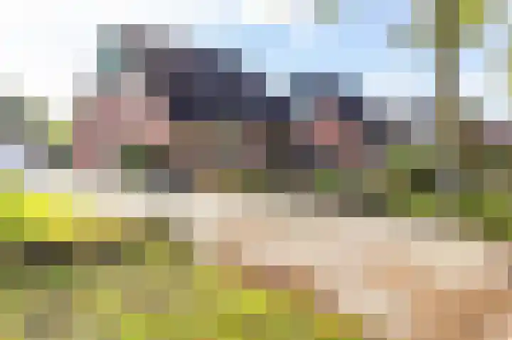 Bonnen 12 d Gieten thumbnail 7