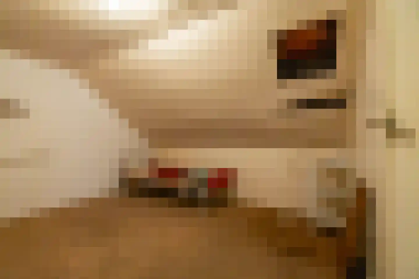 Bonnen 15 Gieten thumbnail 37