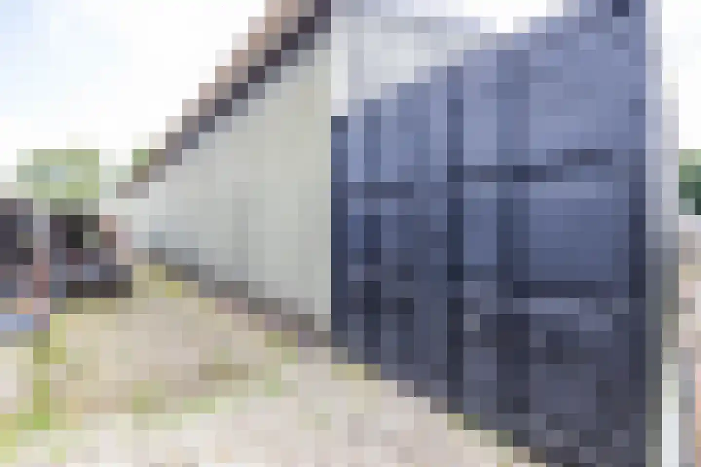 Bonnen 15 Gieten thumbnail 64
