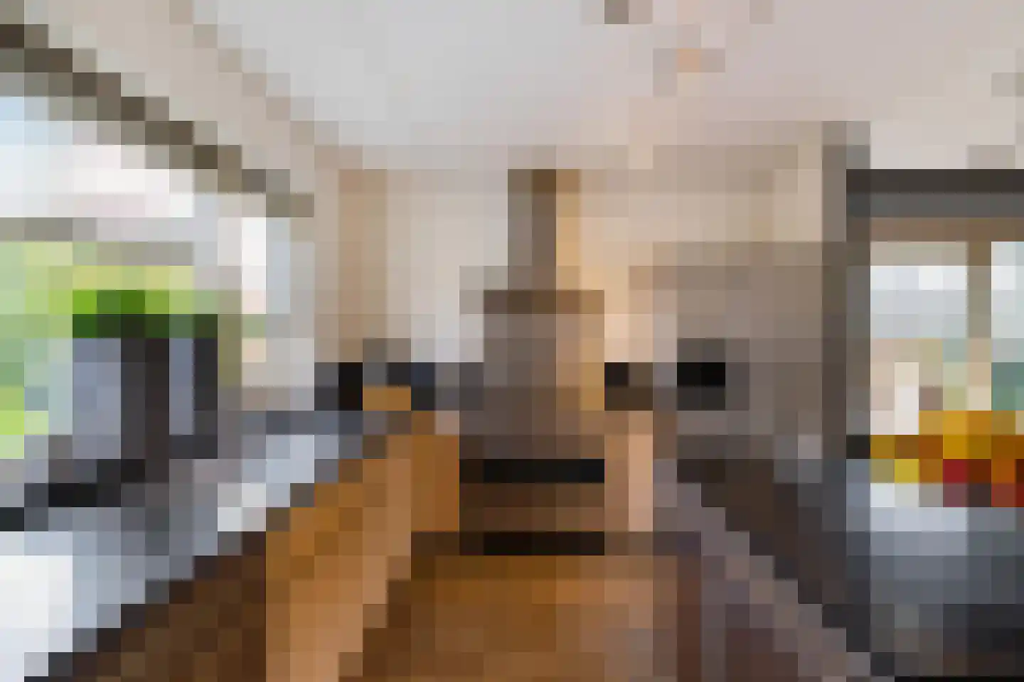 Bonnen 2 Gieten thumbnail 14