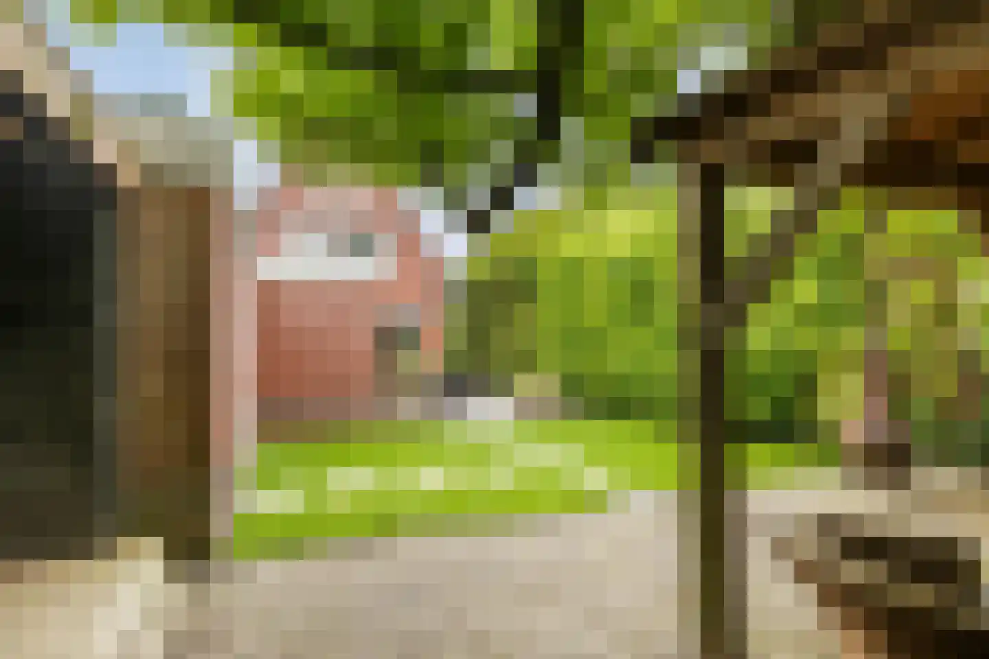Bonnen 2 Gieten thumbnail 43