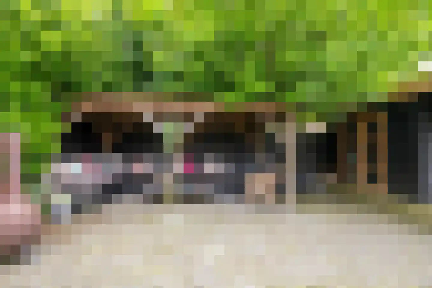 Bonnen 2 Gieten thumbnail 44