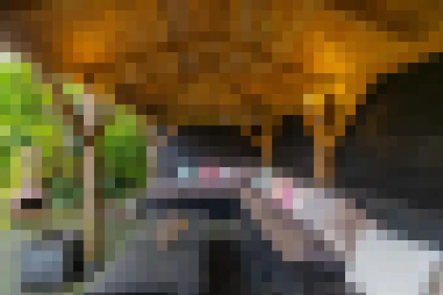 Bonnen 2 Gieten thumbnail 45