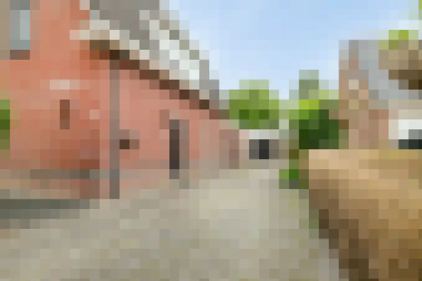 Bonnen 2 Gieten thumbnail 46