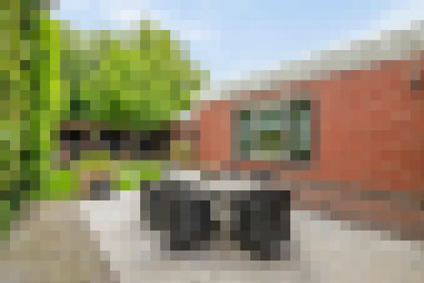 Bonnen 2 Gieten thumbnail 6