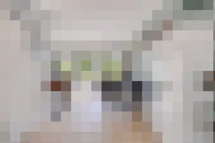 Bonnerhoek 24 Gieten thumbnail 13