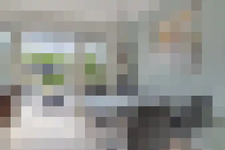 Bonnerhoek 24 Gieten thumbnail 14