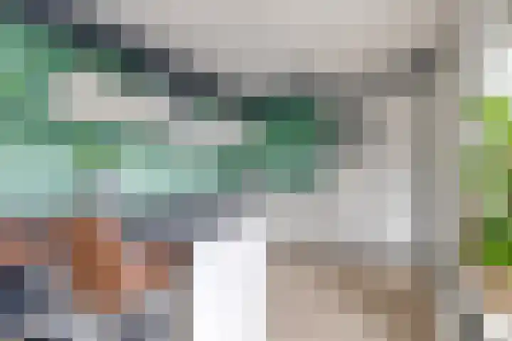 Bonnerhoek 24 Gieten thumbnail 16