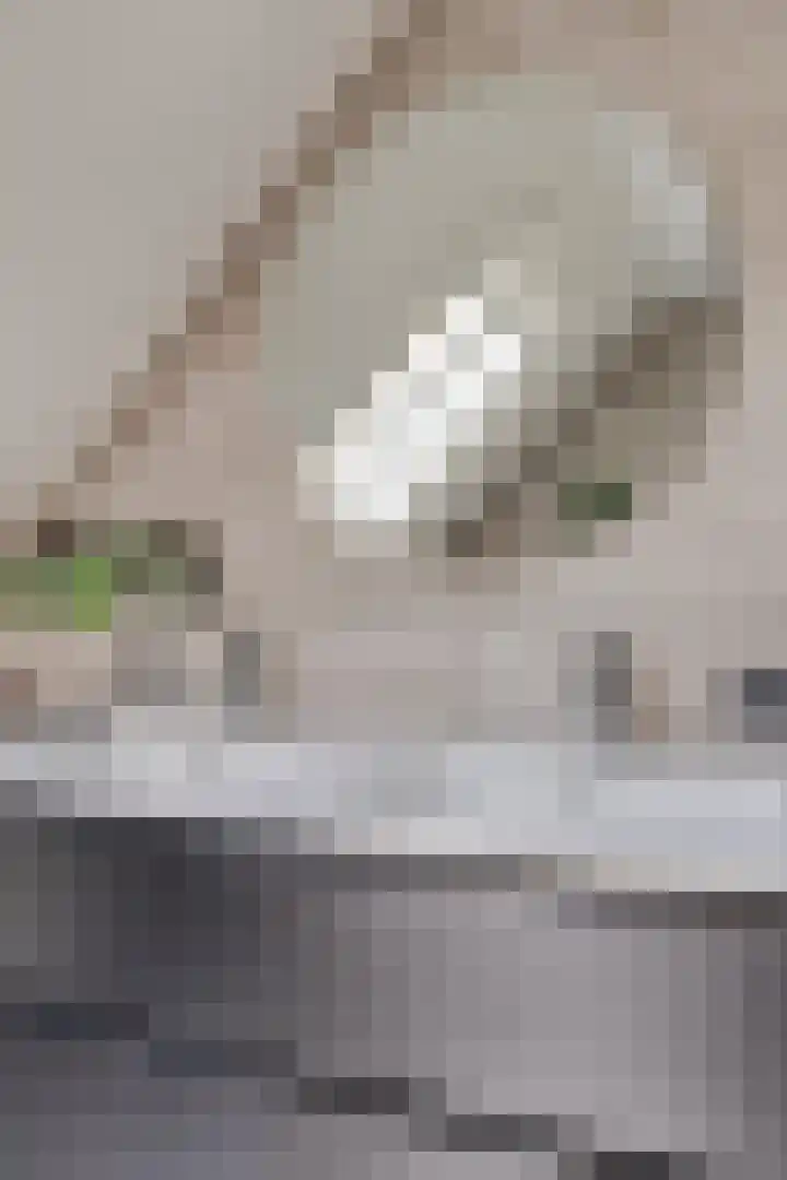 Bonnerhoek 24 Gieten thumbnail 27