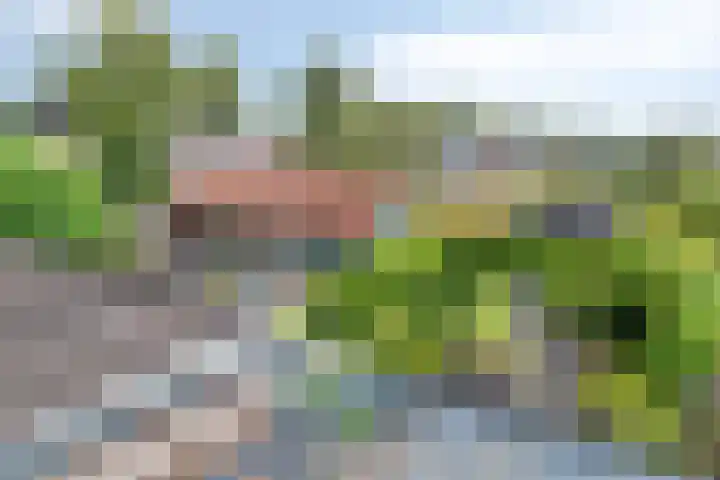 Bonnerhoek 24 Gieten thumbnail 32