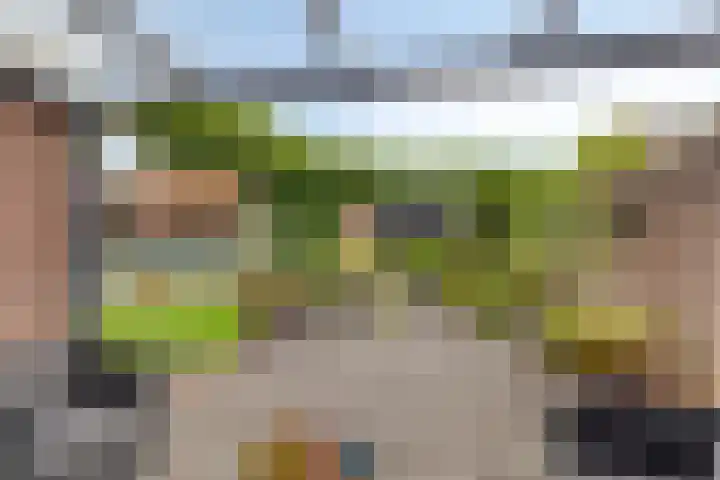 Bonnerhoek 24 Gieten thumbnail 37