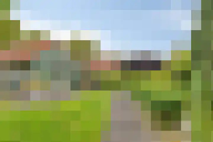 Bonnerhoek 24 Gieten thumbnail 39