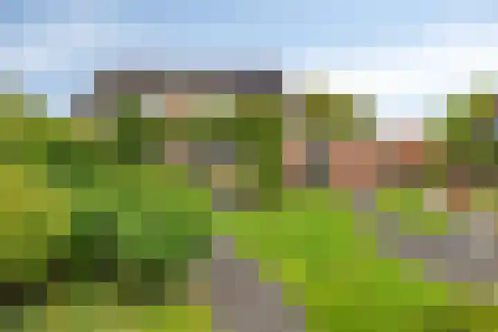 Bonnerhoek 24 Gieten thumbnail 41