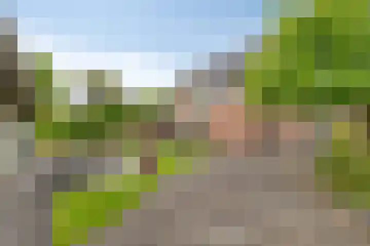 Bonnerhoek 24 Gieten thumbnail 44