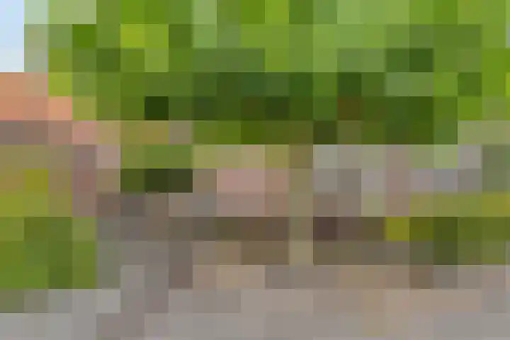 Bonnerhoek 24 Gieten thumbnail 46