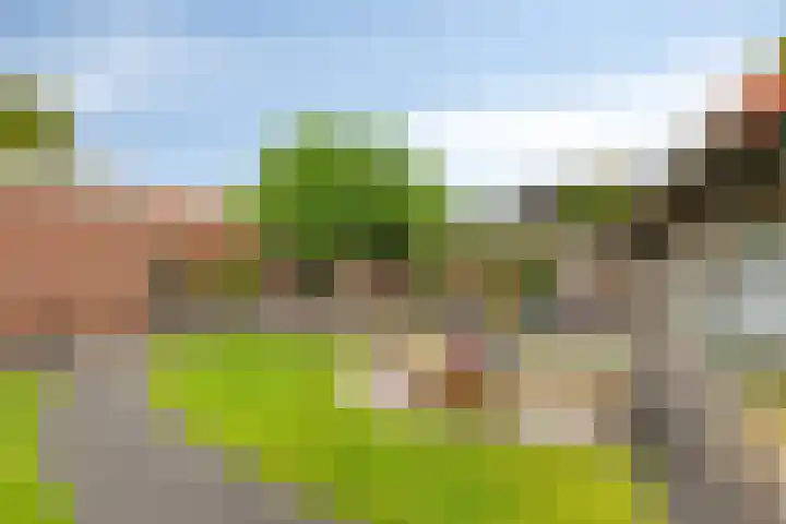 Bonnerhoek 24 Gieten thumbnail 48