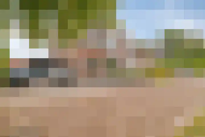 Bonnerhoek 24 Gieten thumbnail 5