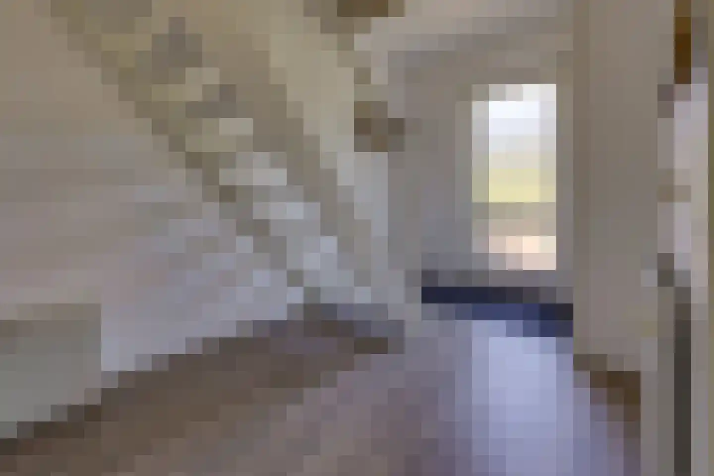 Bonnerveen 3 f Gieterveen thumbnail 17