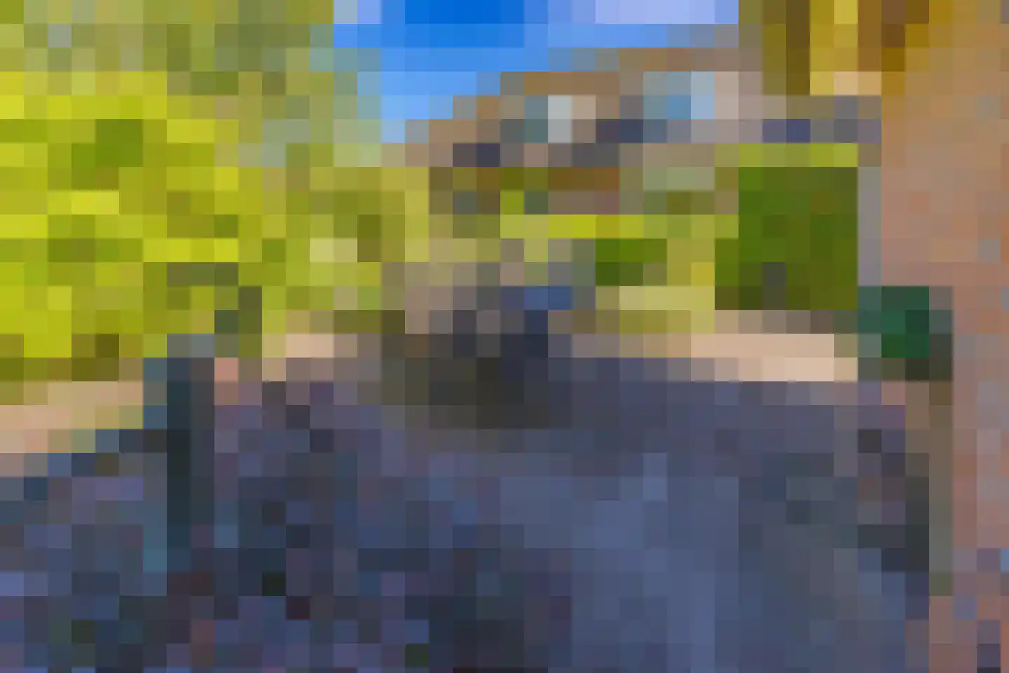 Bonnerveen 3 f Gieterveen thumbnail 25