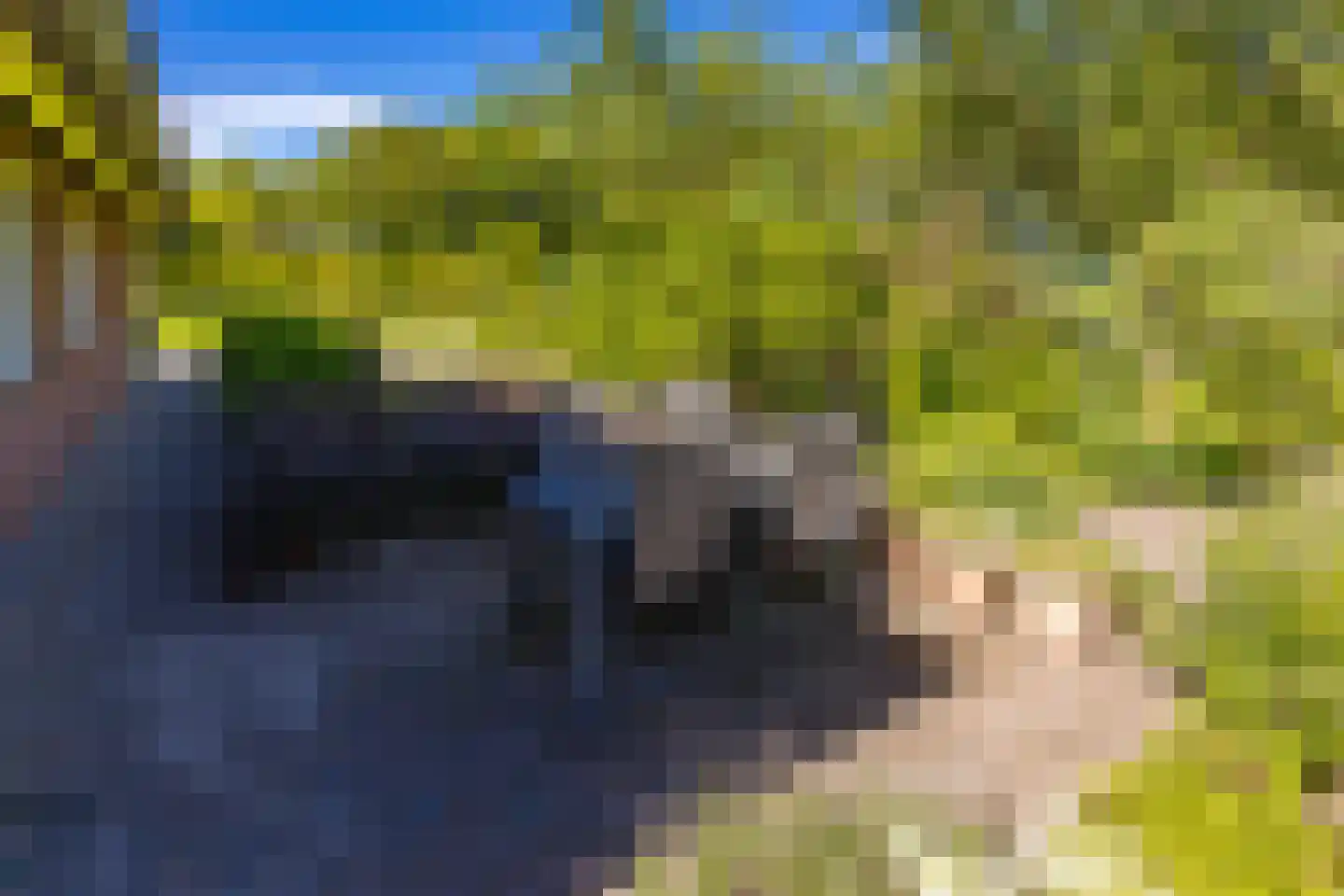Bonnerveen 3 f Gieterveen thumbnail 26