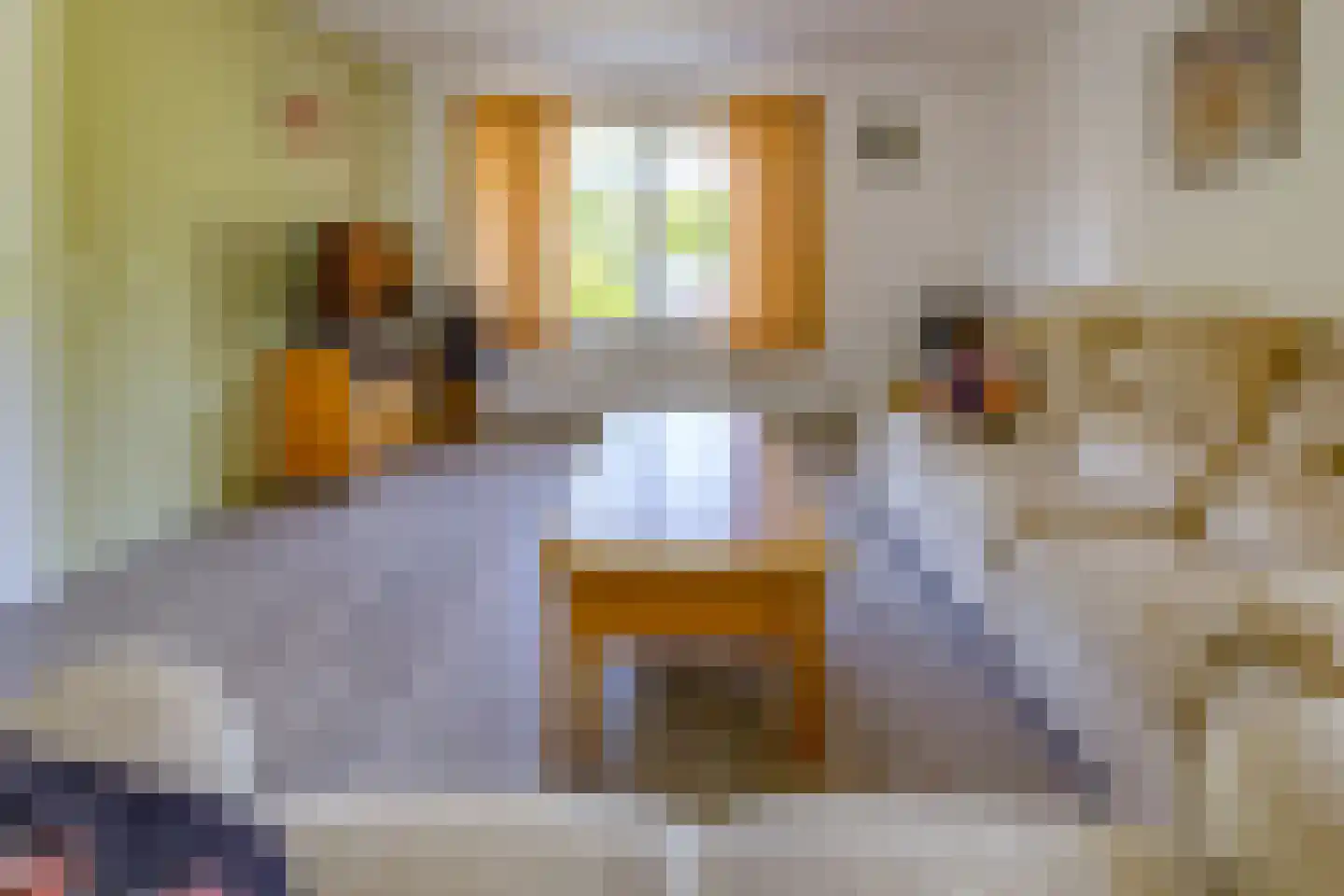 Bonnerveen 3 f Gieterveen thumbnail 4