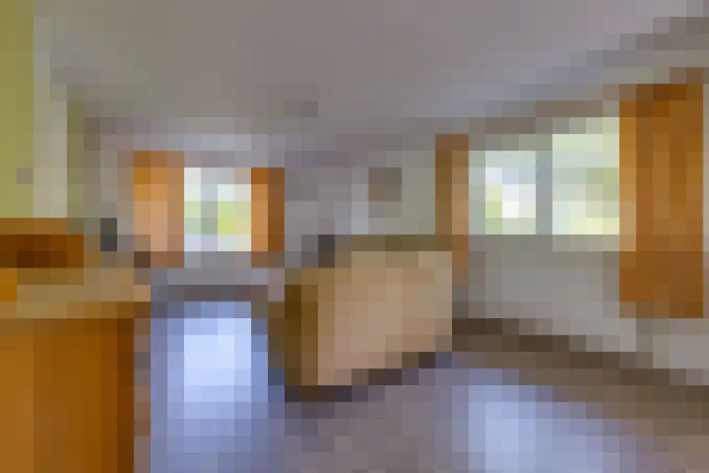 Bonnerveen 3 f Gieterveen thumbnail 6