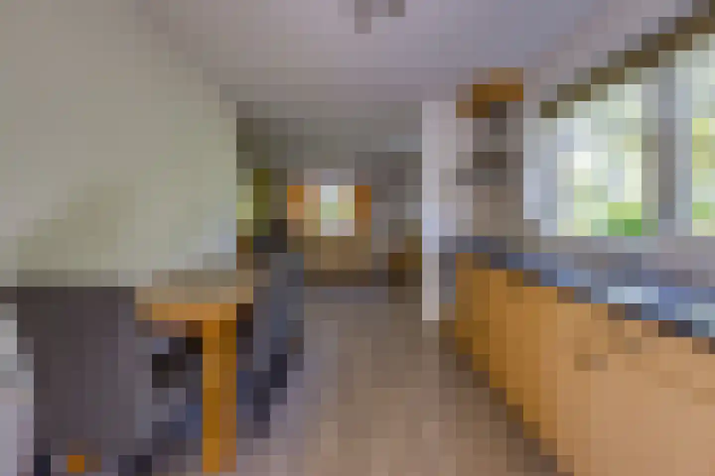 Bonnerveen 3 f Gieterveen thumbnail 9