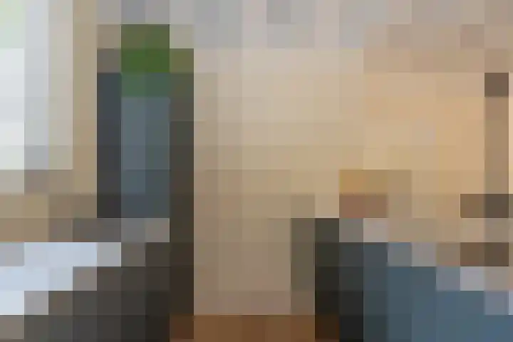 Bonnerveen 4 Gieterveen thumbnail 10
