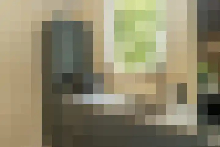 Bonnerveen 4 Gieterveen thumbnail 11