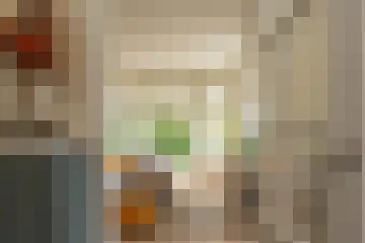 Bonnerveen 4 Gieterveen thumbnail 12