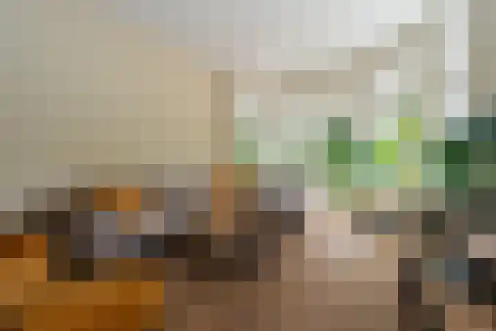 Bonnerveen 4 Gieterveen thumbnail 13