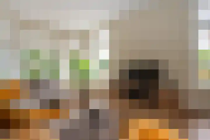 Bonnerveen 4 Gieterveen thumbnail 14