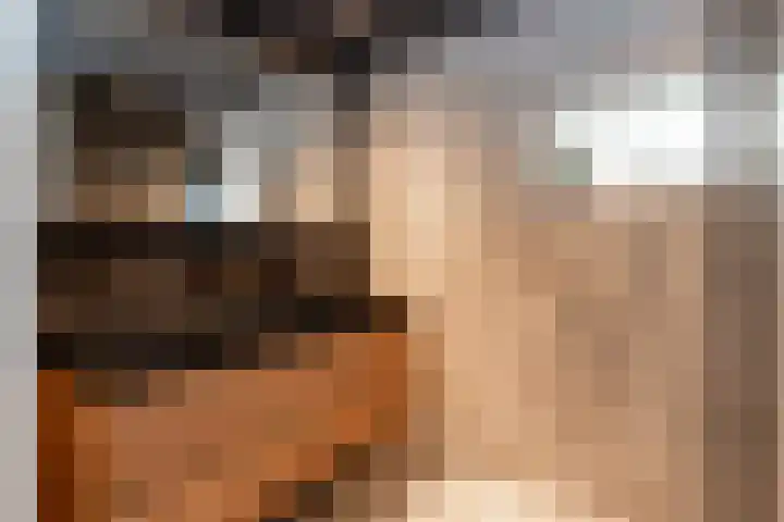 Bonnerveen 4 Gieterveen thumbnail 19
