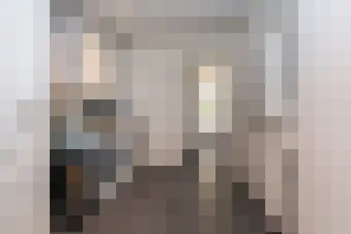 Bonnerveen 4 Gieterveen thumbnail 22